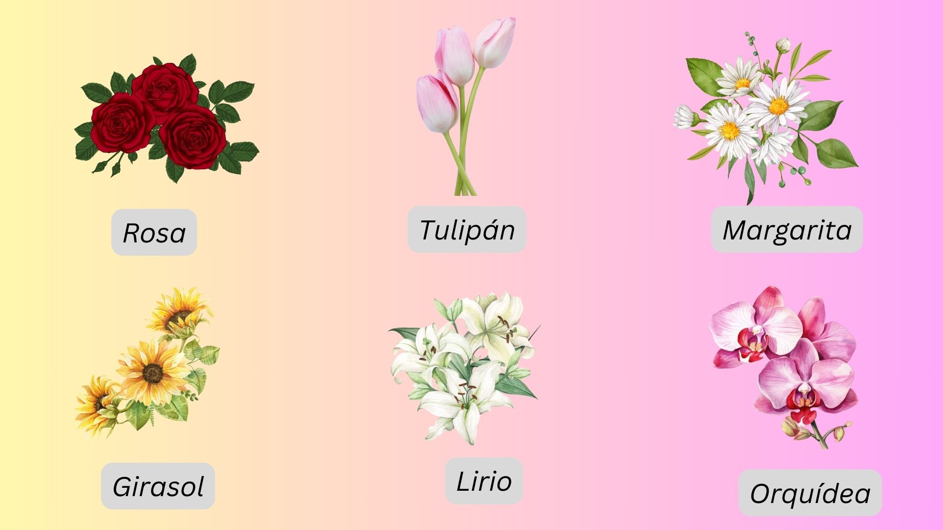 Flowers in Spanish