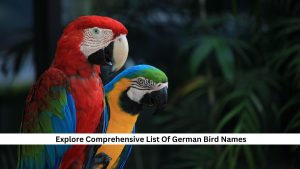 Explore-Comprehensive-List-Of-German-Bird-Names