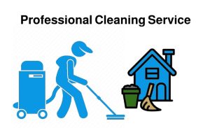 Professional-cleaning