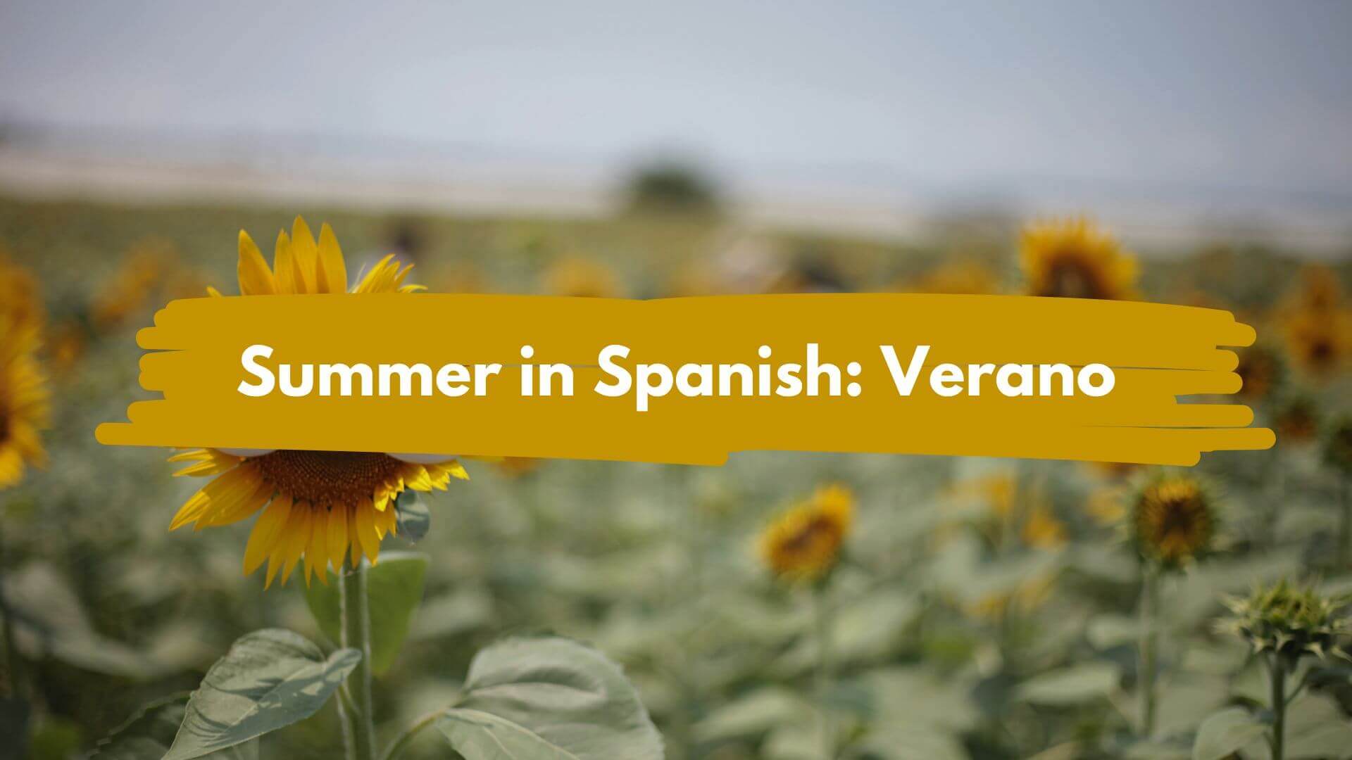 Summer in Spanish