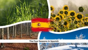 The-Four-Seasons-In-Spanish