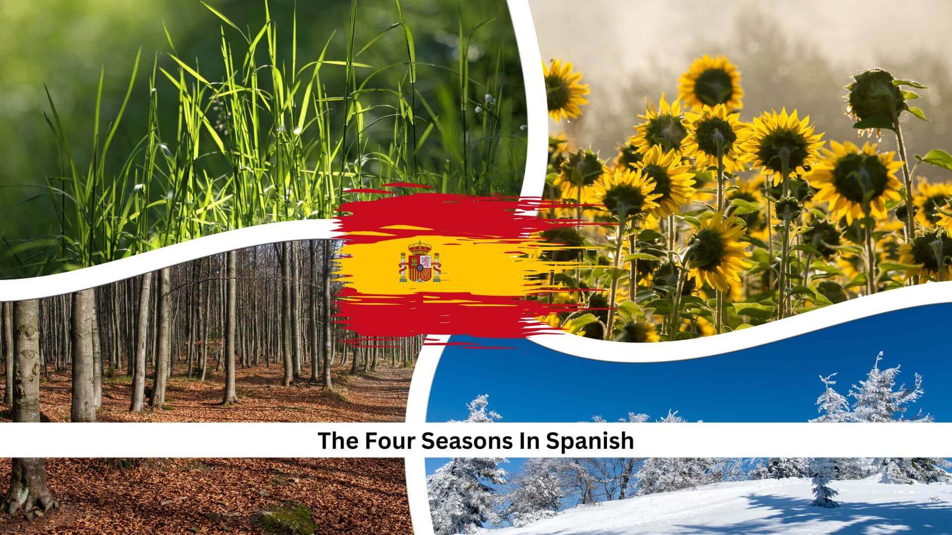 The Four Seasons In Spanish: Here's Everything You Need To Know